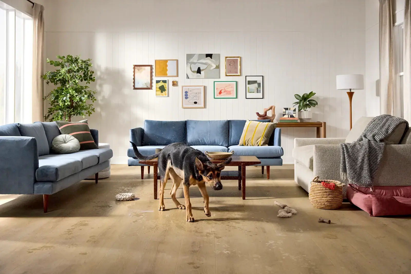 Living Room Laminate