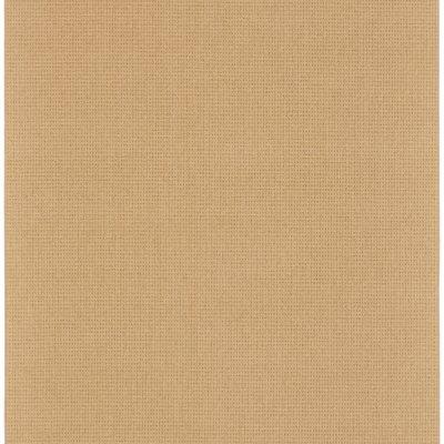 Anguillita Carpet by Abbey Carpet