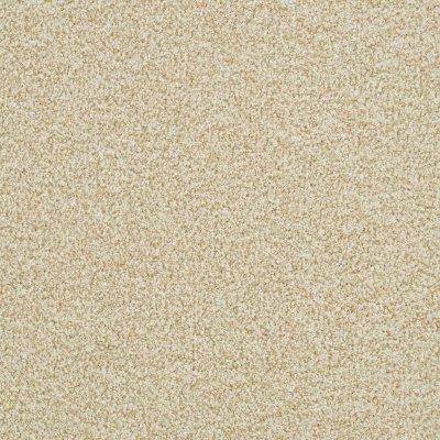Village Charm Carpet by Soft Splendor petdefense™