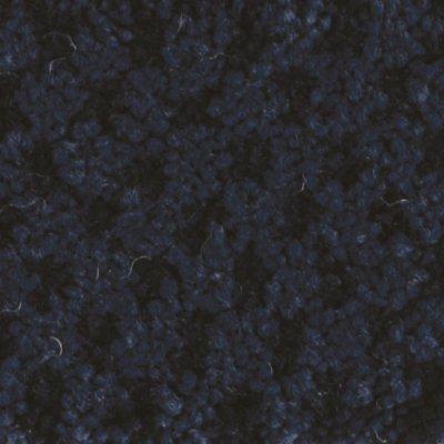 Destry Carpet by Abbey Carpet