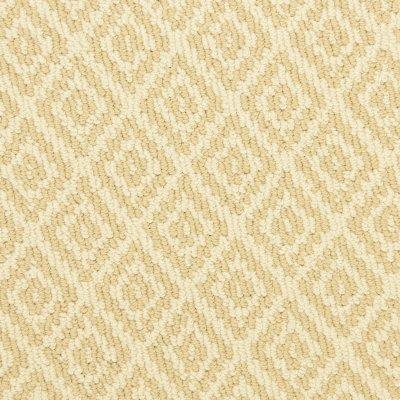 Capitol Avenue Carpet by Soft Splendor petdefense™