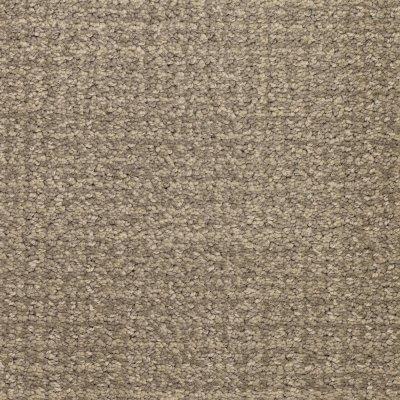 Joyful Welcome Carpet by Soft Splendor petdefense™