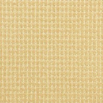 Capital Road Carpet by Soft Splendor petdefense™