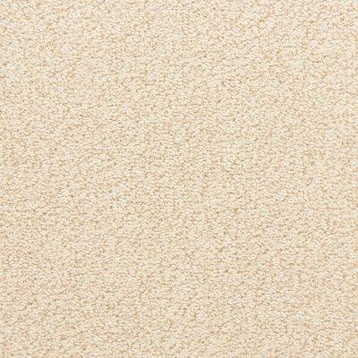Enduring Appeal Carpet by Soft Splendor petdefense™