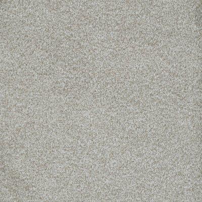 Watchful Gaze Carpet by Soft Splendor petdefense™