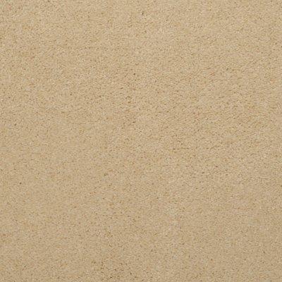 Bleckley Carpet by Abbey Carpet