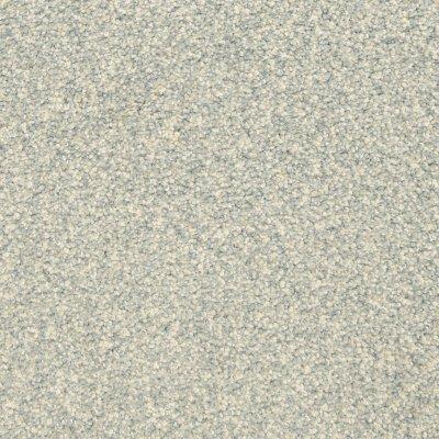 Constant Presence Carpet by Soft Splendor petdefense™