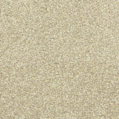 Elegant Heights Carpet by Soft Splendor petdefense™