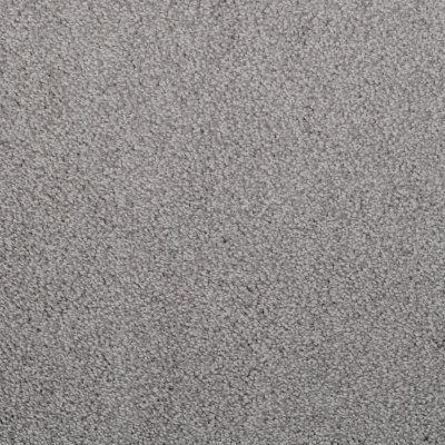 Elegant Shine Carpet by Abbey Carpet