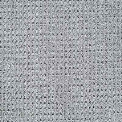 High Point Carpet by Soft Splendor petdefense™