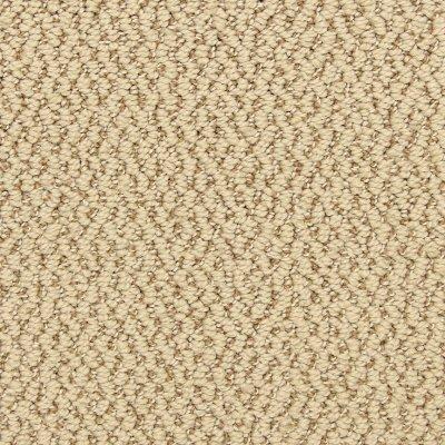 Inspired Design Carpet by Soft Splendor petdefense™