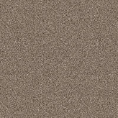 Big Demand III Carpet by Infinity petdefense™