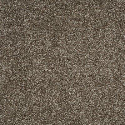 Sabal Springs II Carpet by Infinity