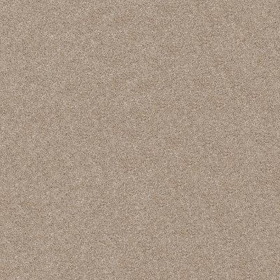 Rambling Lane II Carpet by Value