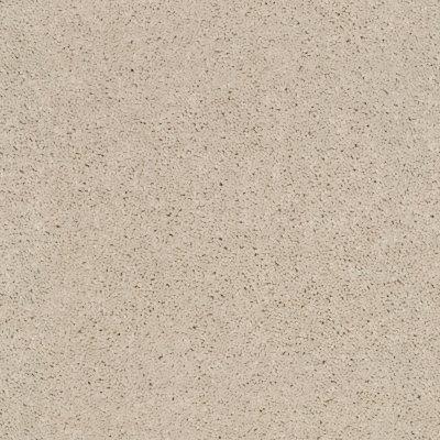Cab Court Solid Carpet by Value
