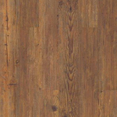 River Grove 5" Luxury Vinyl by Abbey Carpet